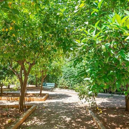 Voula'S Secret Garden Studio Athens Exterior photo